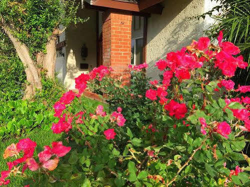 Romantic And Luxury Disney Villa อนาไฮม์ ภายนอก รูปภาพ